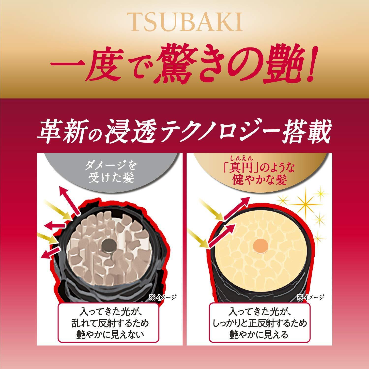 Premium Repair Hair Set - Tsubaki | Kiokii and...