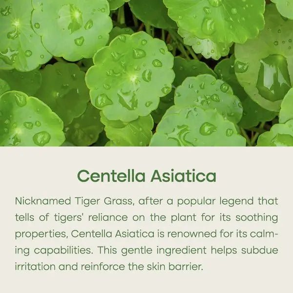 Purito Centella Wonder Releaf Unscented Serum 60ml by Purito – Serum & Ampoule